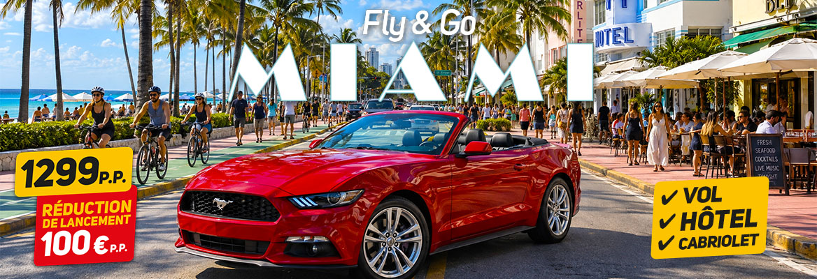 Miami Mustang Experience