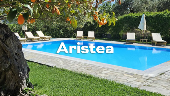 Aristea