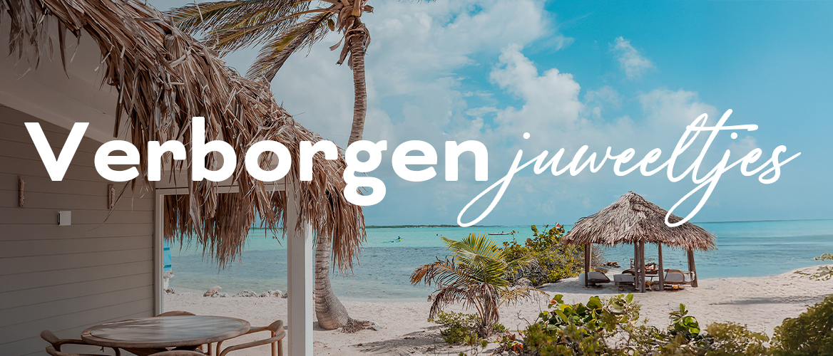 Verborgen Juweeltjes