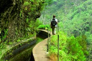 Excursiepakket - wandelen op Madeira