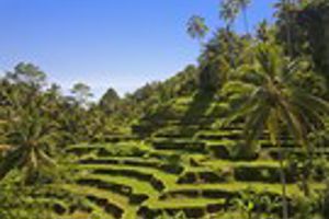 Excursiepakket Bali - 2 dagen voor de zomerperiode
