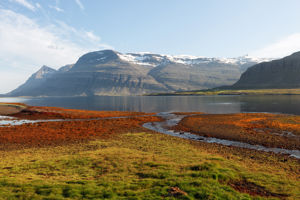 Berufjörður (doortocht)