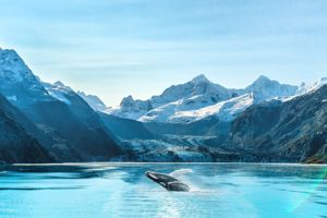 Glacier Bay (doortocht)