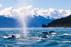 Juneau (Alaska), USA