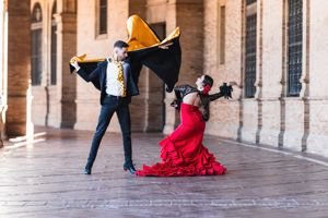 Excursie Flamenco show