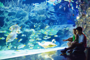 Grootste Aquarium van Turkije
