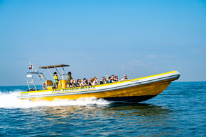 Yellow Speedboat
