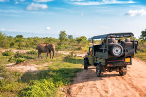 Jeepsafari Udawalawe National park
