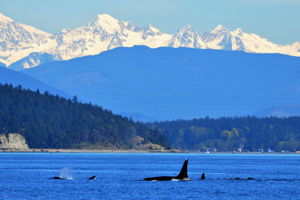 Puget Sound (doortocht)