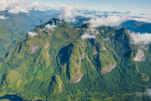 Great Bear Rainforest (doortocht)