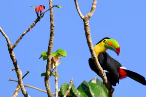 Fuerte Amador, Panama