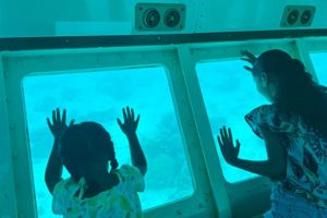 SeaWorld Explorer