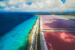 Highlights of Bonaire