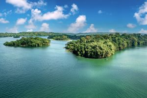 Gatún Lake Panamakanaal