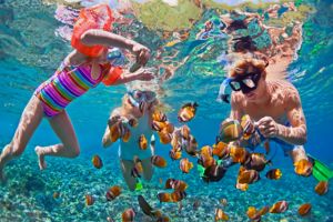 Diepzeeduiken en Snorkelen