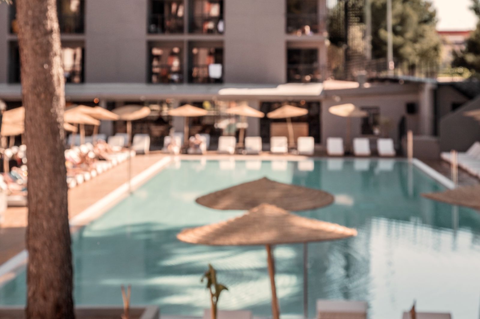 Caramelo Palma Beach billede 2