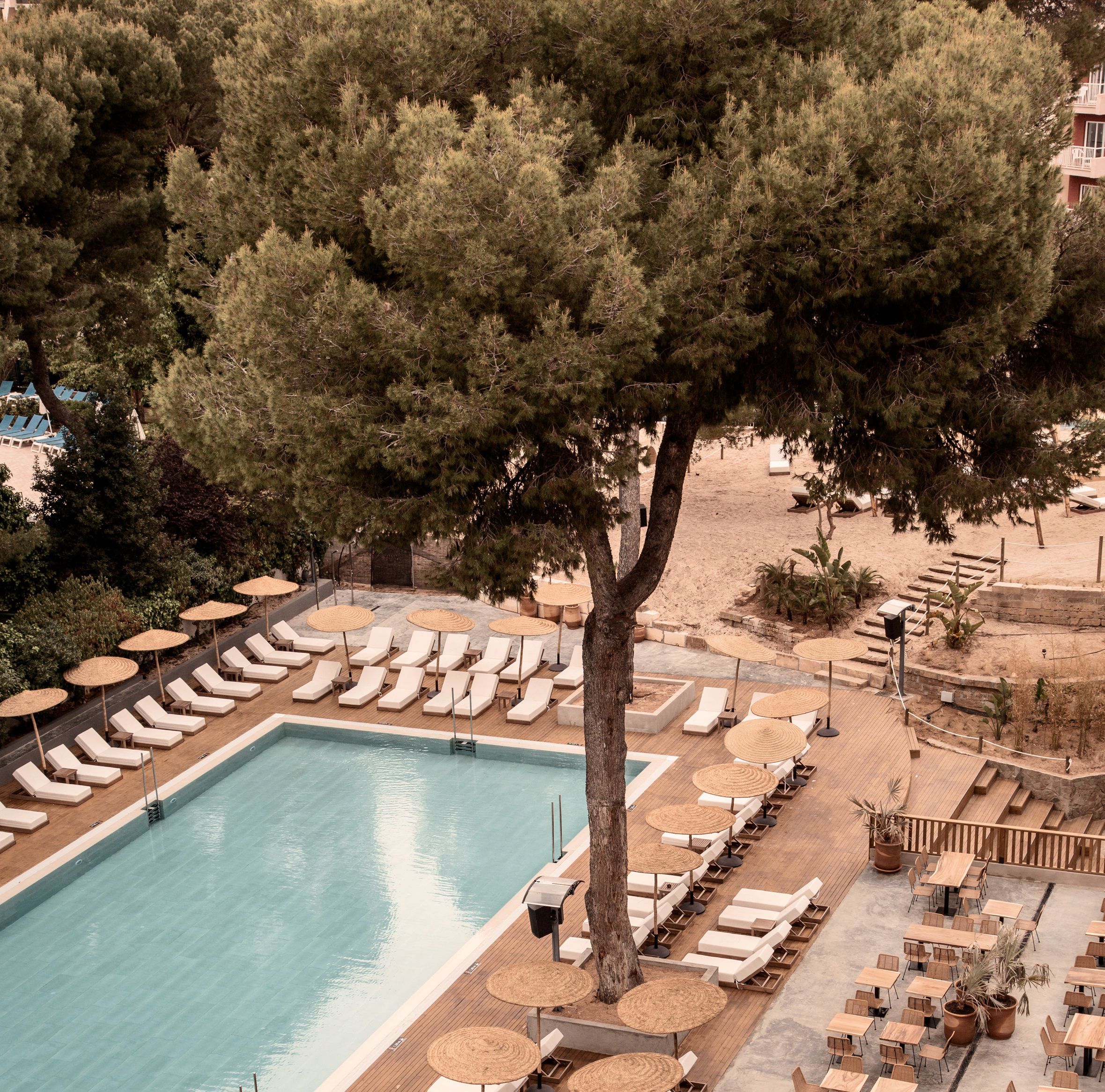 Caramelo Palma Beach - billede 4