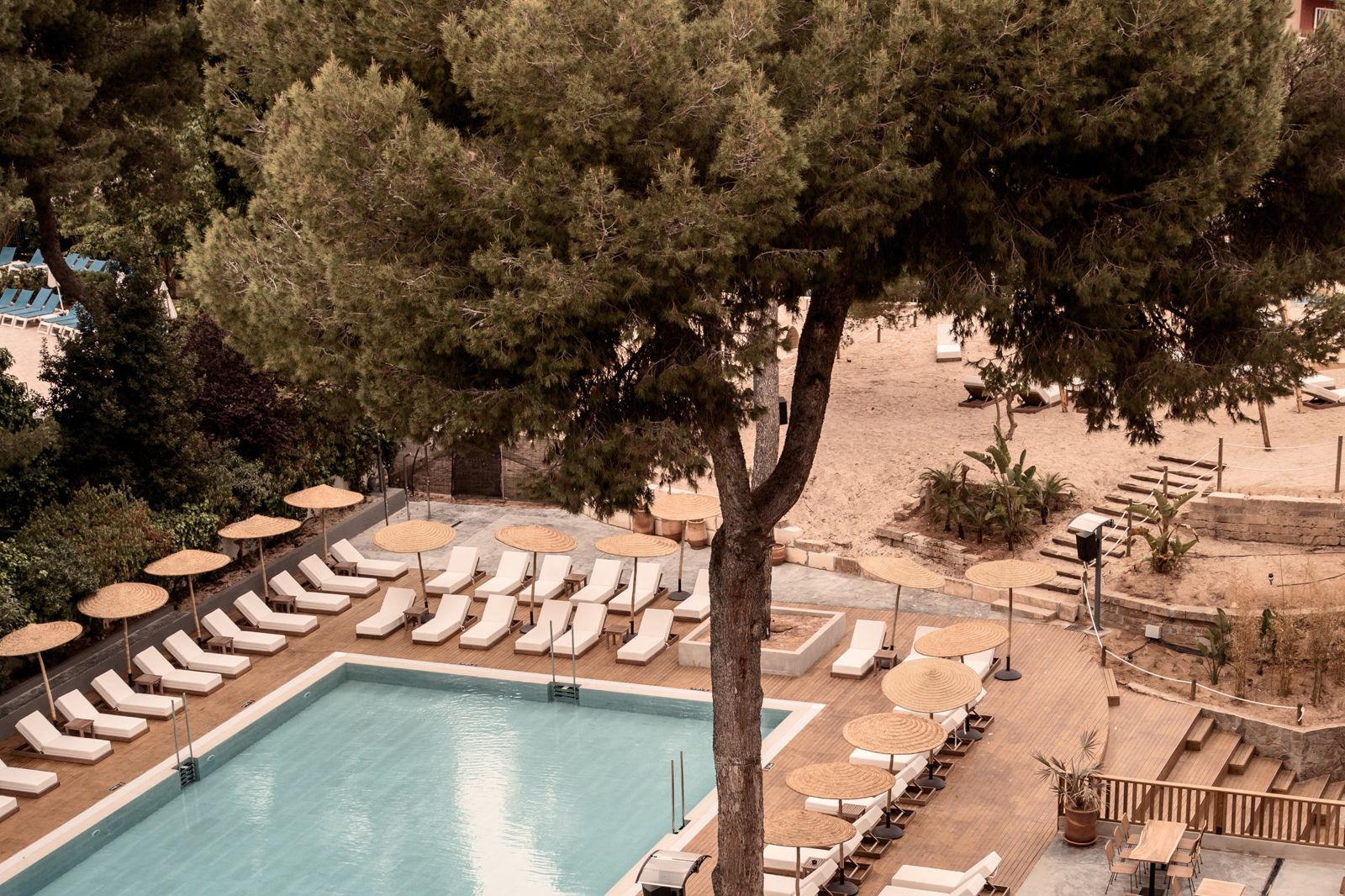 Caramelo Palma Beach billede 4