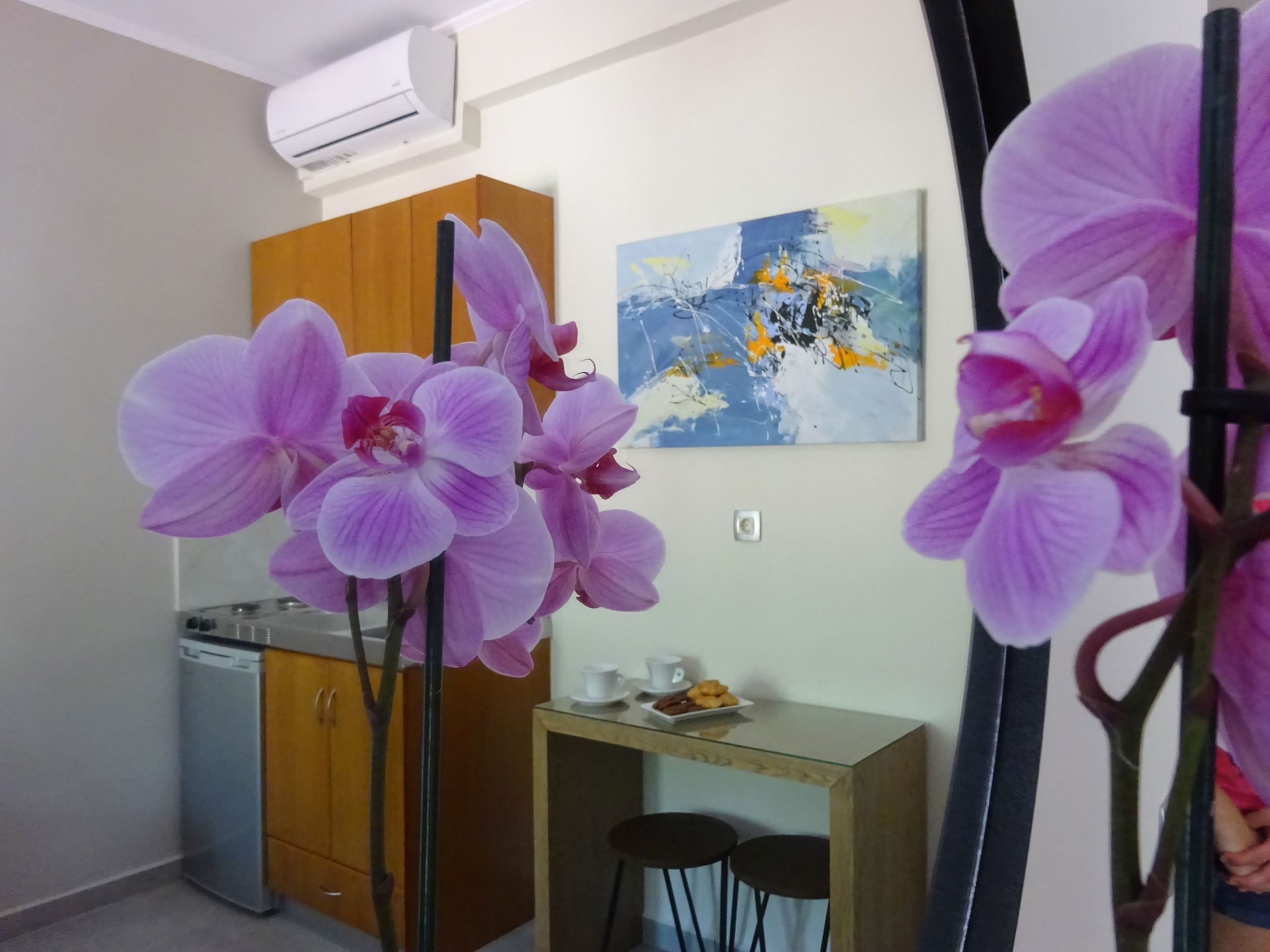 Dokos Studio