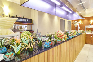 Ses Savines Hotel