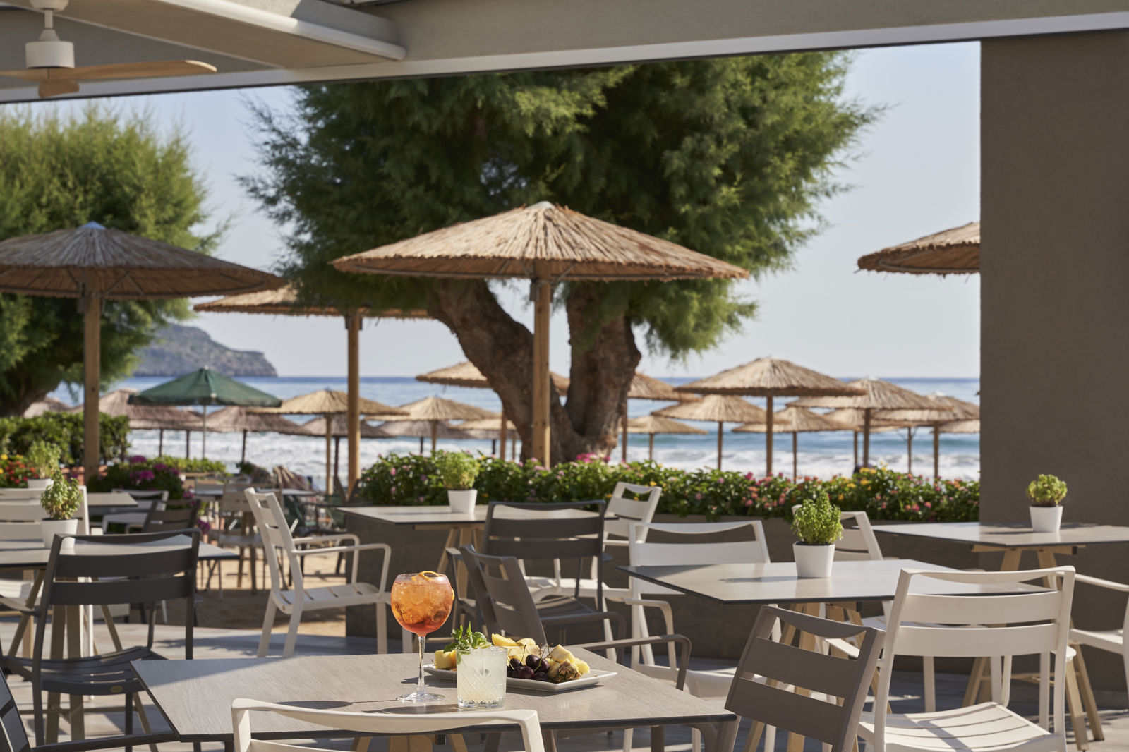 Atlantica Amalthia Beach Hotel - billede 5