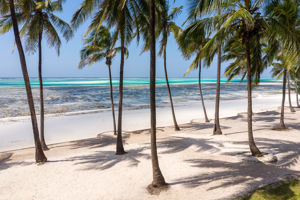 Karafuu Beach Resort & Spa