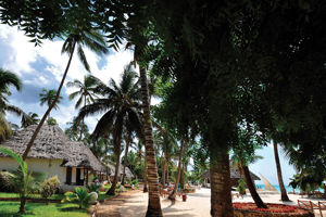 Woonvoorbeeld beach villa