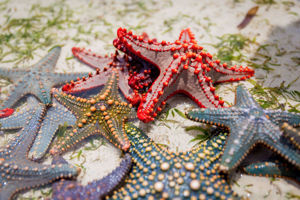 Diamonds Mapenzi Beach