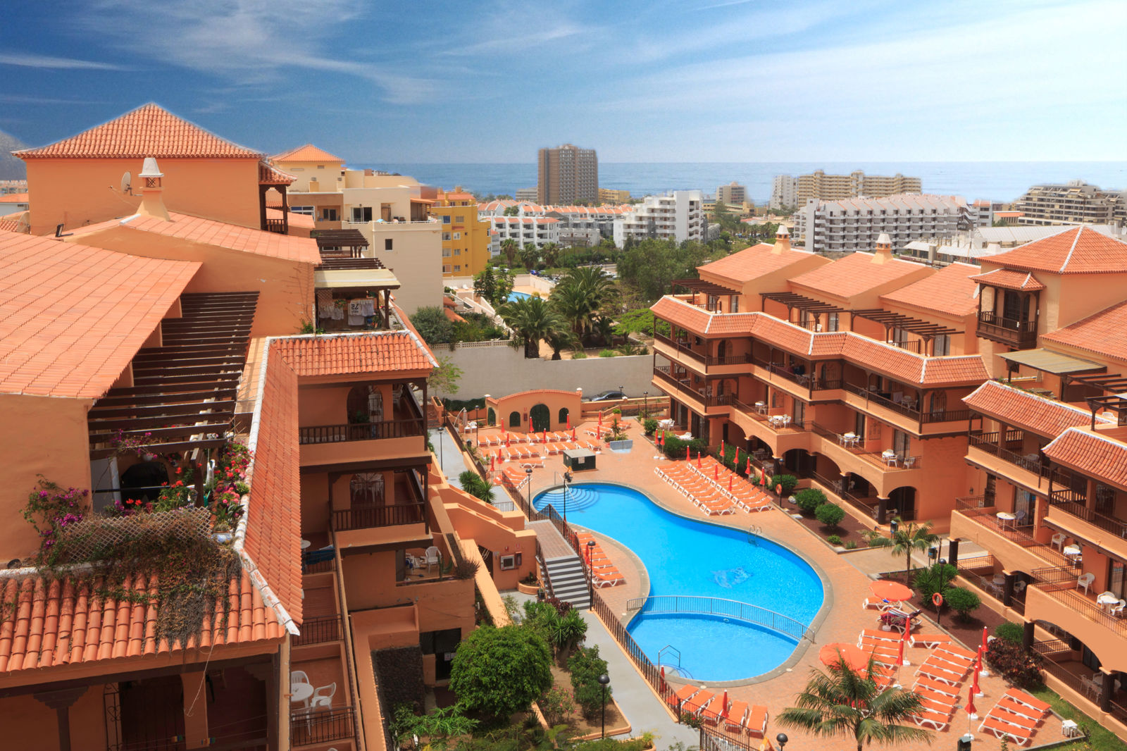 Coral Los Alisios - billede 2