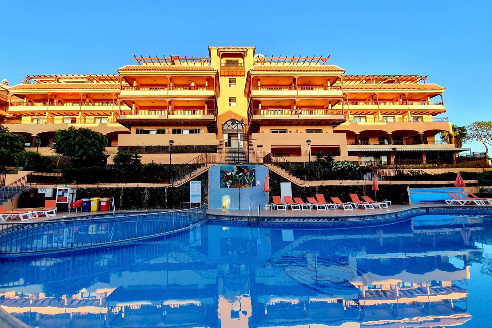 Coral Los Alisios - billede 3
