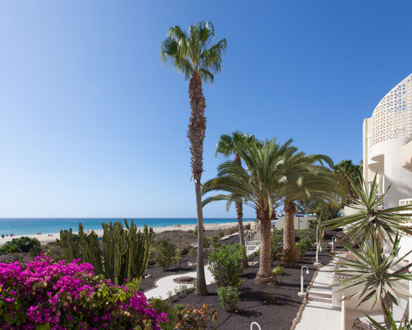 R2 Maryvent Beach Apartment In Costa Calma Corendon r2-maryvent-beach-apartment-in-costa-calma-corendon