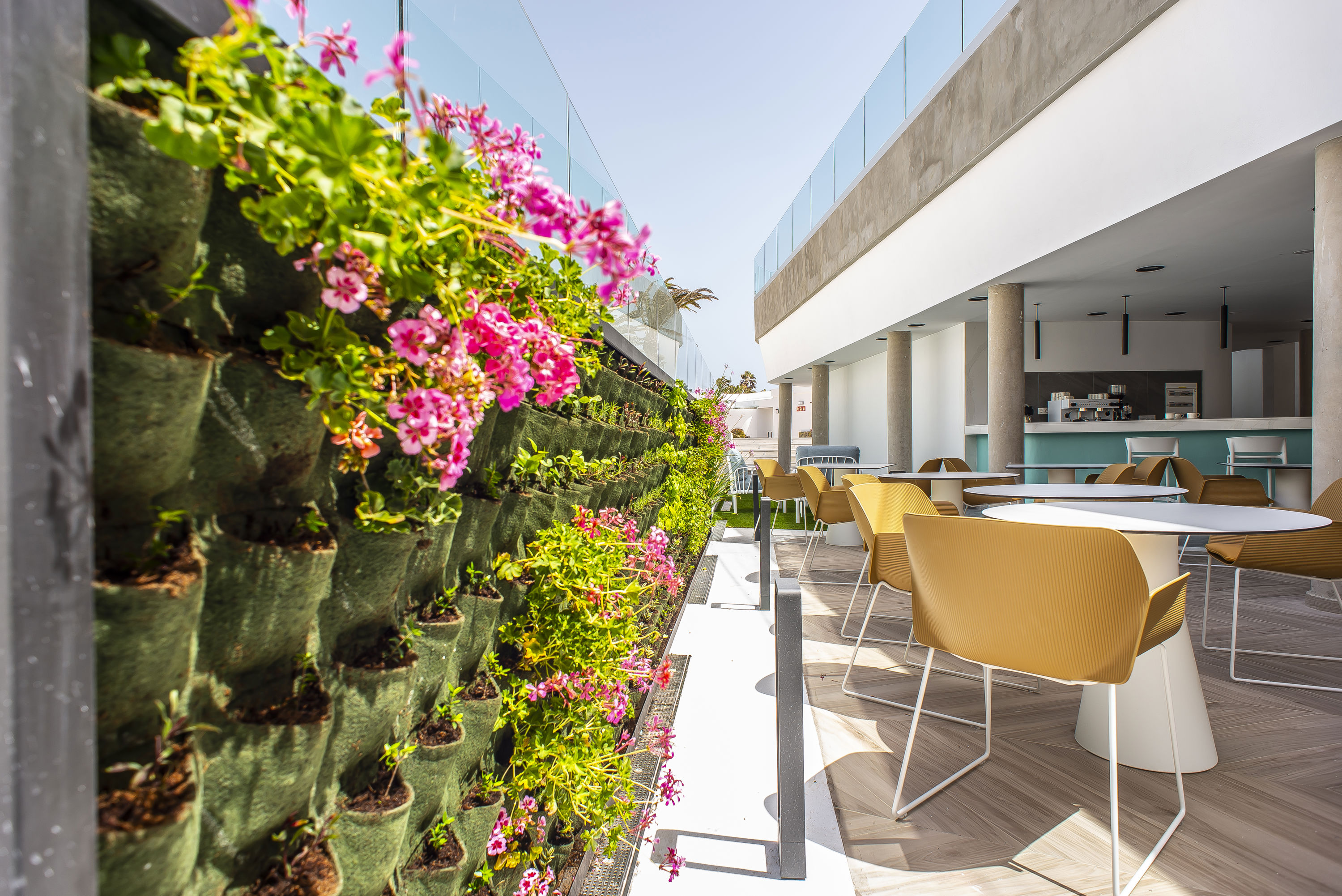 Taimar Hotel