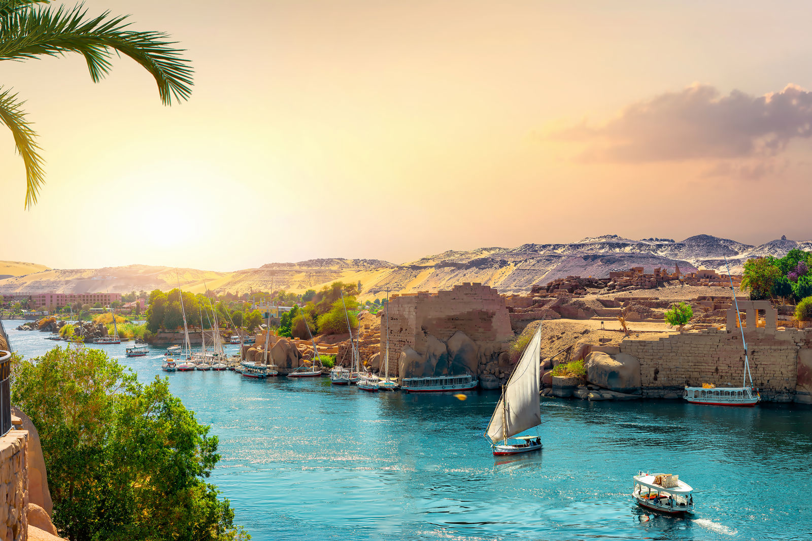 Nijlcruise 5* & Seagull Resort 4* — Luxor, Egypte