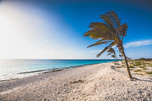 Startpakket Bonaire 3*