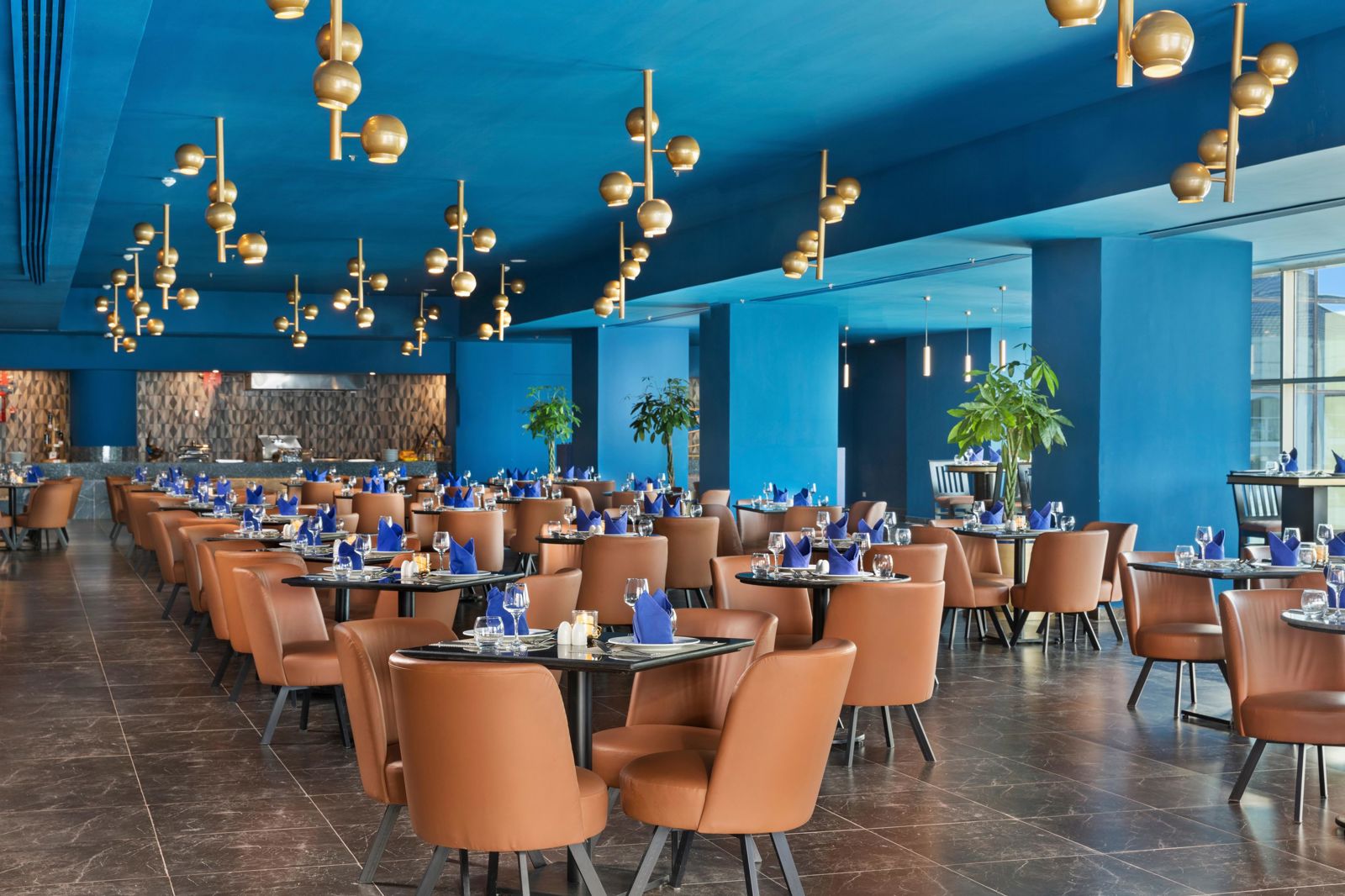 Pickalbatros Blu Spa Resort billede 5