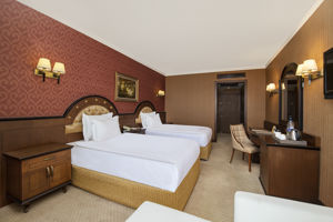 woonvoorbeeld standaardkamer bergzicht