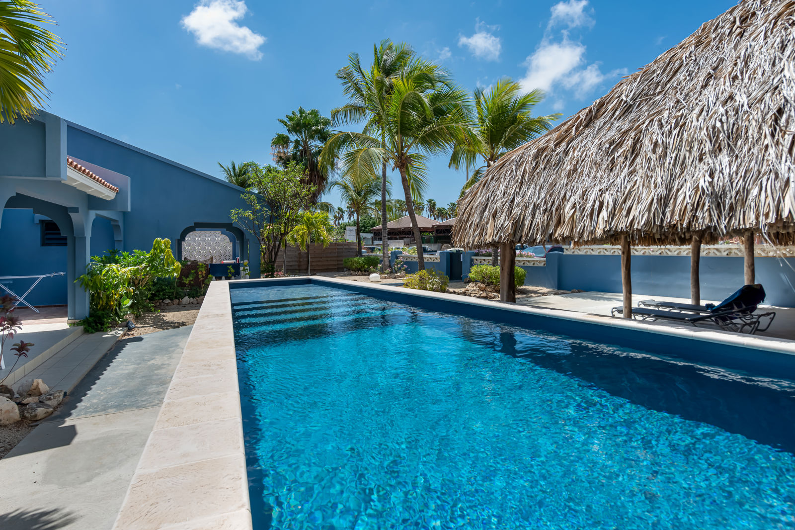Meer info over Blue Bonaire Resort  bij Corendon