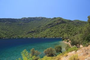 Blue Cruise & Alla Turca Club