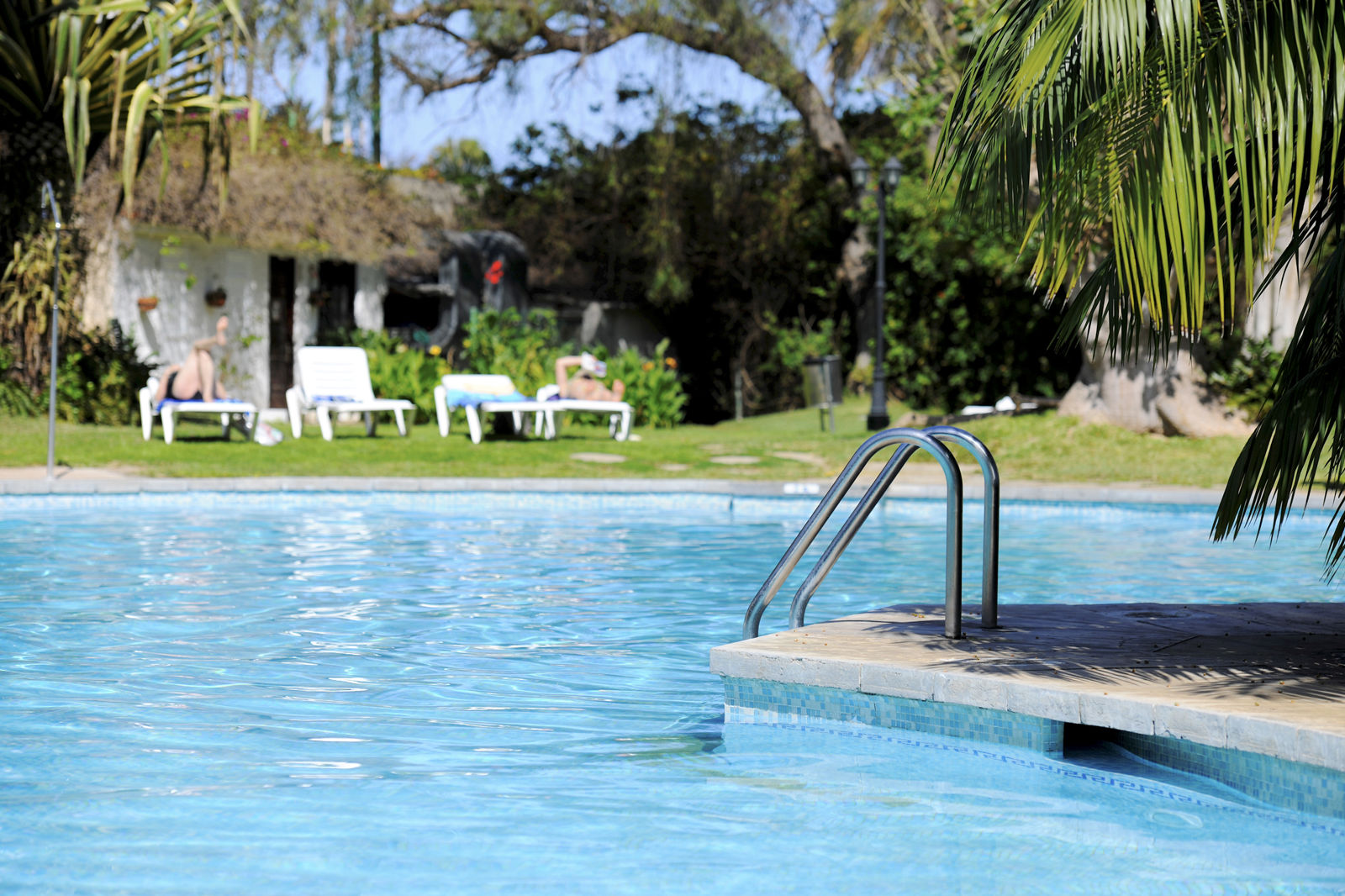 Coral Teide Mar - billede 4