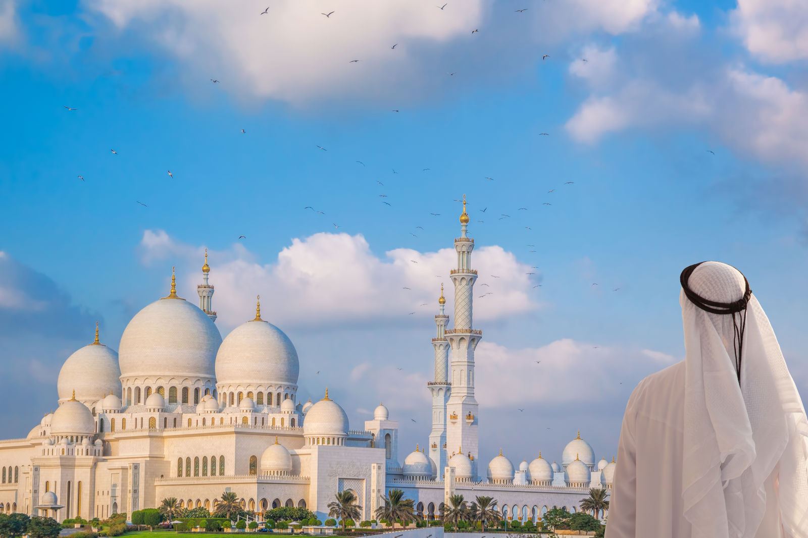 Cruise Midden-Oosten&F1 Abu Dhabi