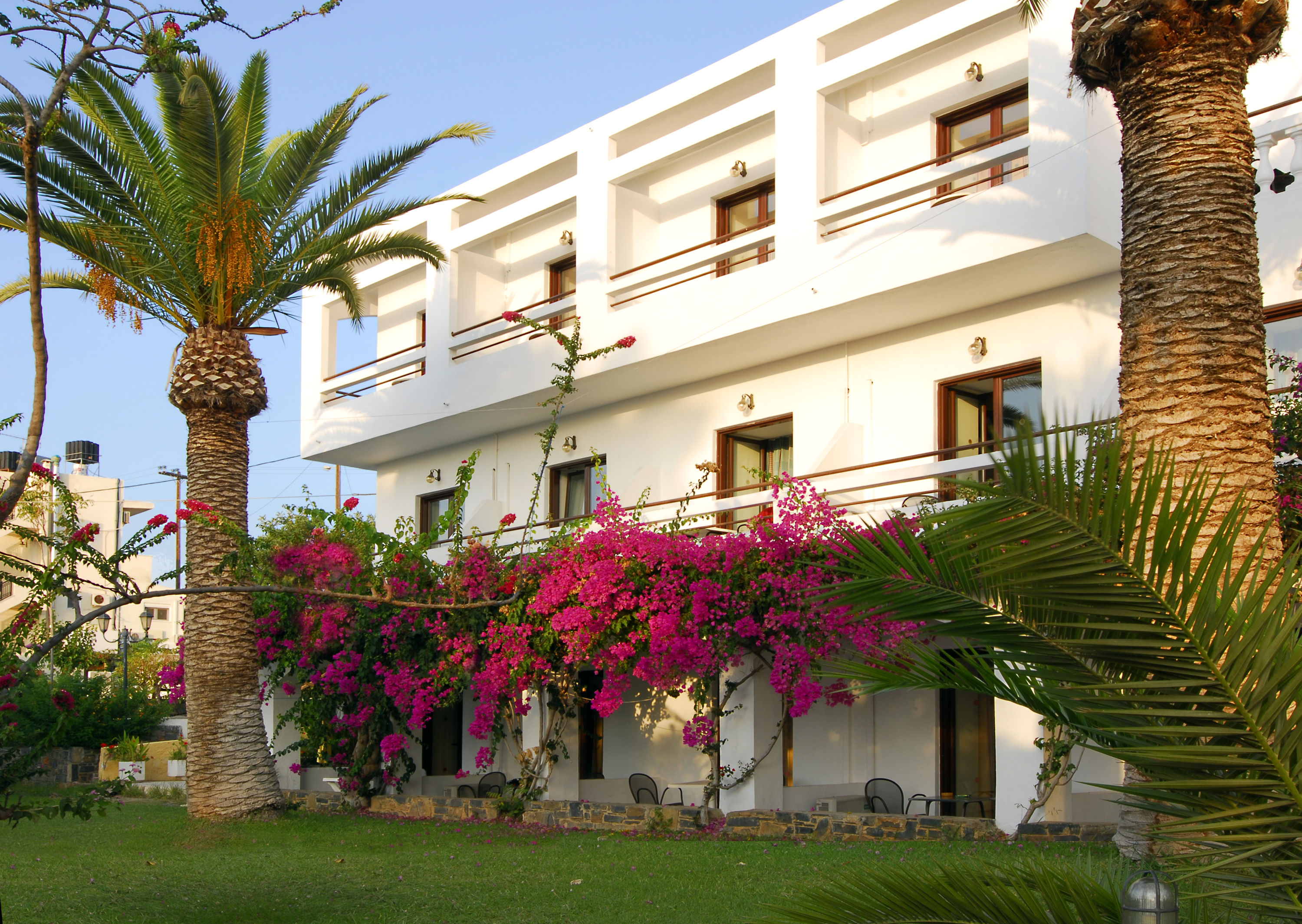 Lato Hotel