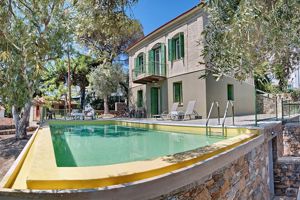 Ouzo Traditional Villa