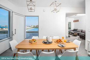 Hill & Sea View Villas