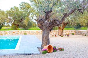 Kalathos Dream Villa White
