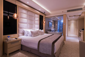 Woonvoorbeeld superiorkamer met bergzicht