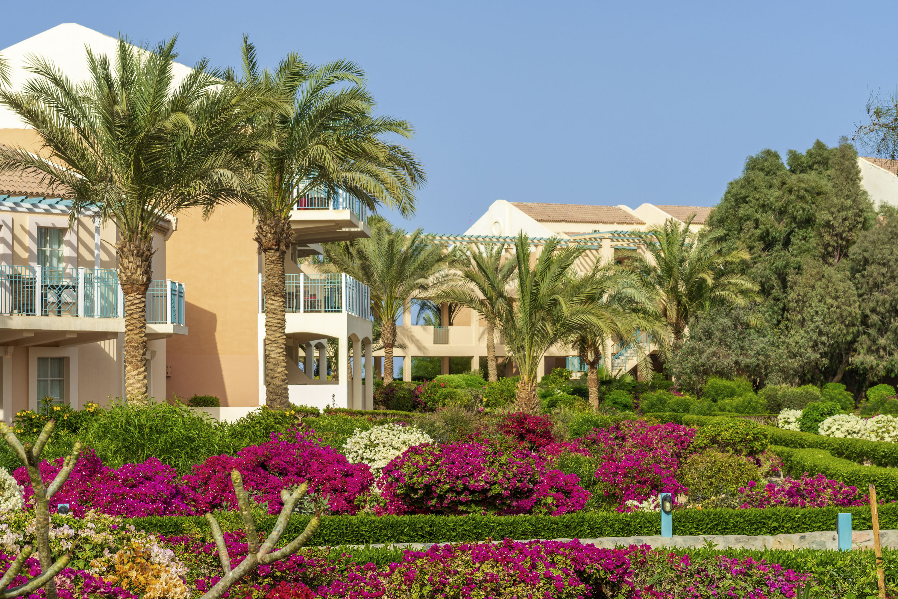 Mövenpick El Gouna