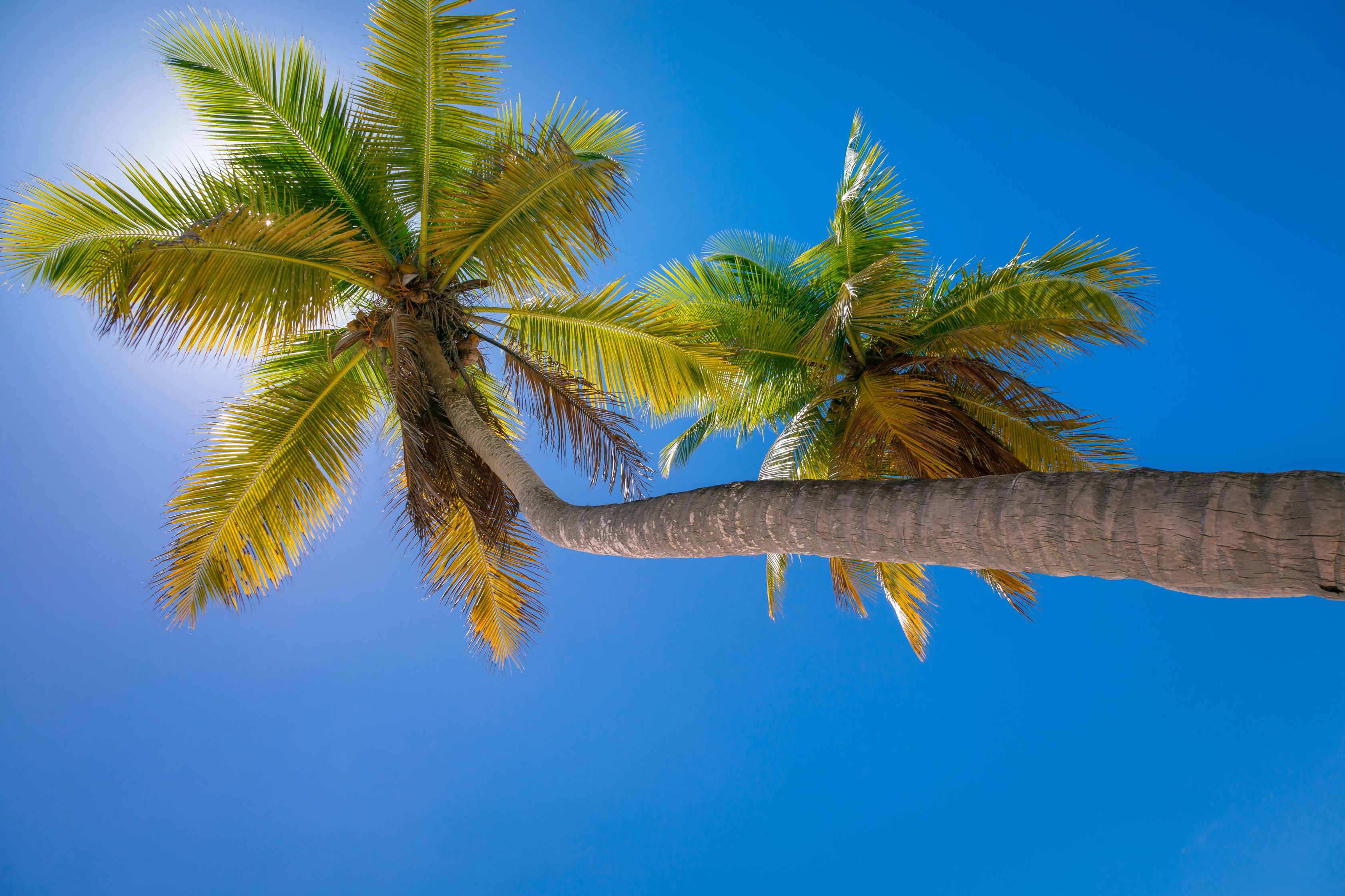 Cruise Dominicaanse Republiek naar Italië, incl. 6 nachten Punta Cana