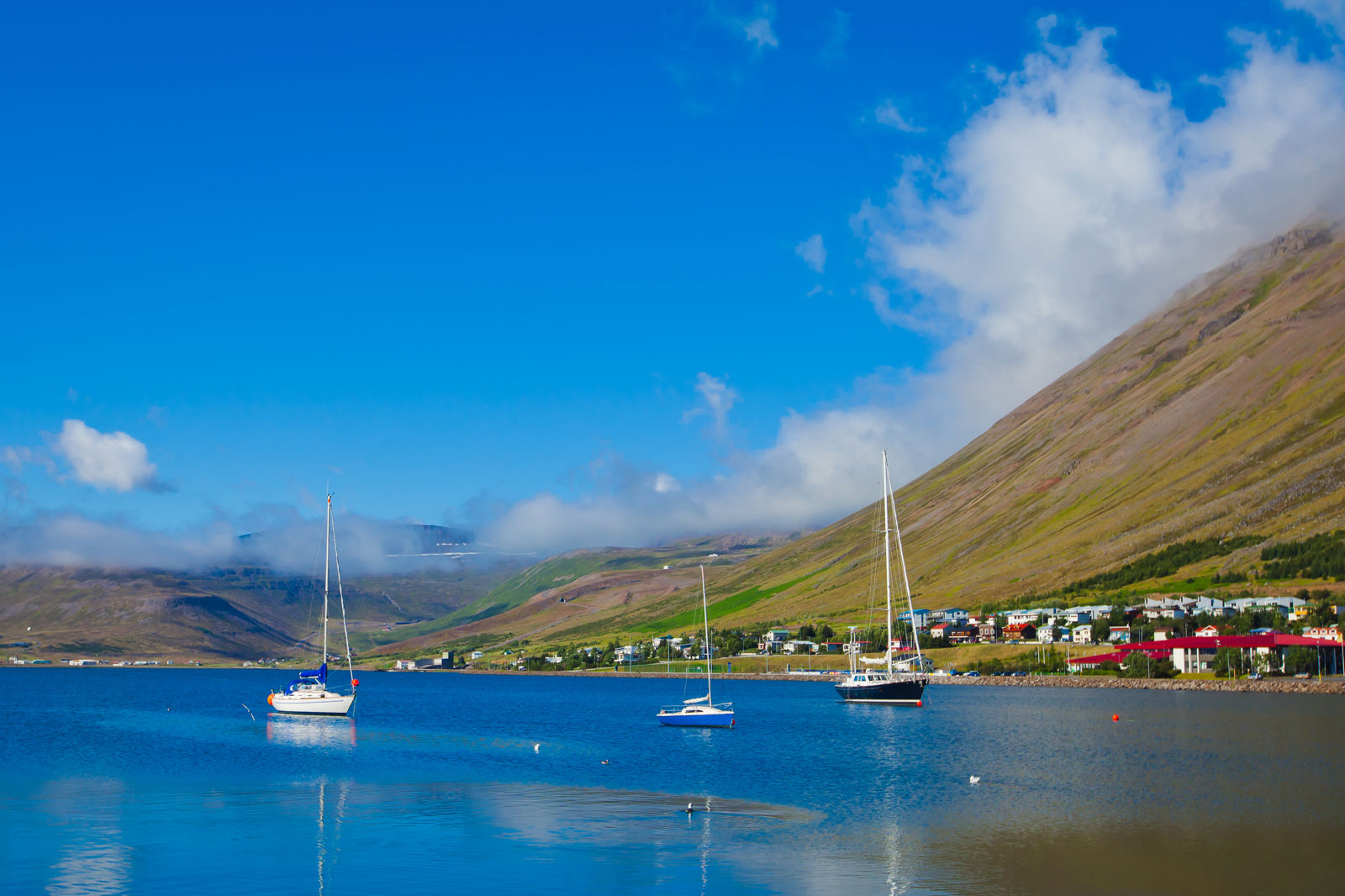 Cruise Noorwegen, IJsland en Schotland