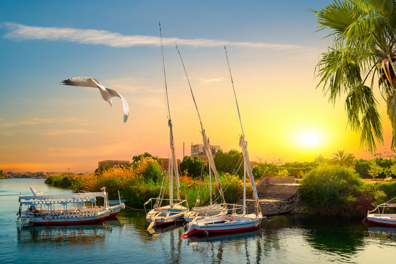 Nijlcruise 5* & Cleopatra Luxury Beach 5*