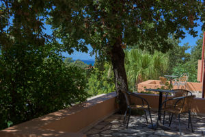 Woonvoorbeeld 2-kamerappartement tuinzicht